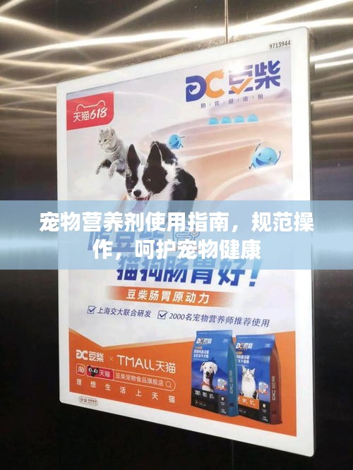 寵物營養劑使用指南，規范操作，呵護寵物健康