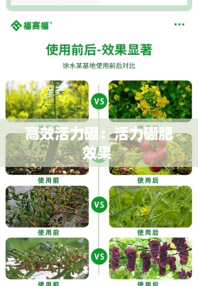 青天白日 第2頁