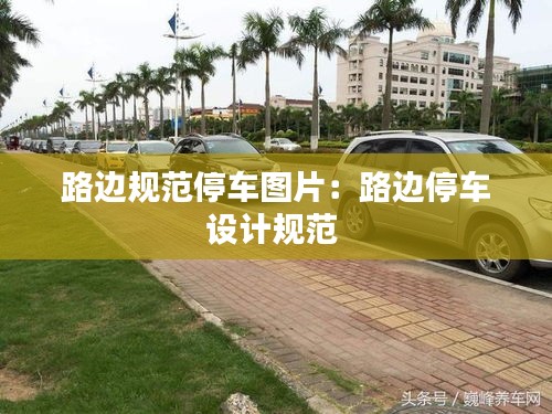 物離鄉(xiāng)貴 第3頁