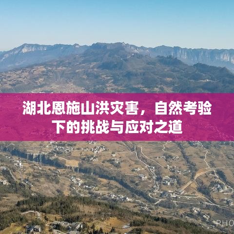 雍榮閑雅 第2頁