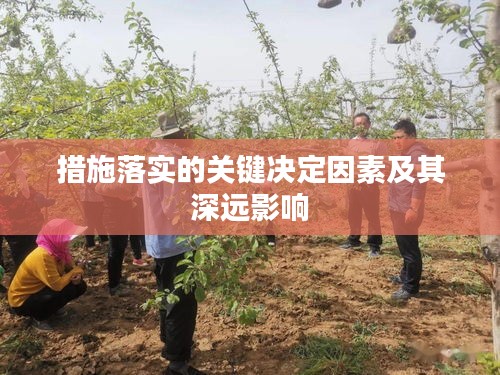 措施落實的關(guān)鍵決定因素及其深遠影響