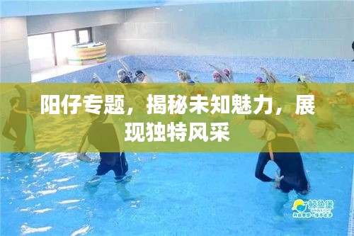 陽仔專題，揭秘未知魅力，展現獨特風采