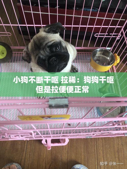 不拘小節(jié) 第2頁(yè)