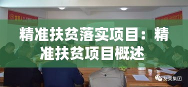 精準扶貧落實項目：精準扶貧項目概述 