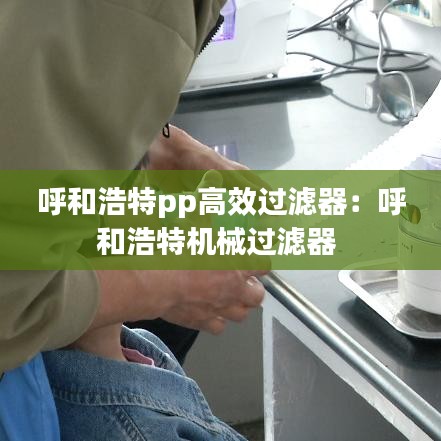 鳳鳥不至 第2頁
