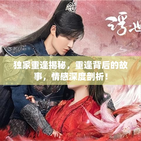 獨家重逢揭秘，重逢背后的故事，情感深度剖析！