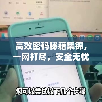 高效密碼秘籍集錦，一網打盡，安全無憂