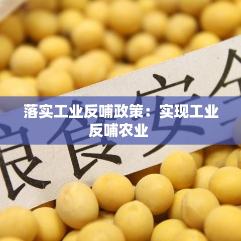 落實工業反哺政策：實現工業反哺農業 