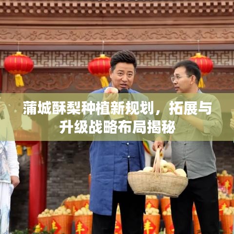 蒲城酥梨種植新規劃，拓展與升級戰略布局揭秘