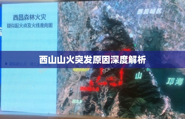 有張沒智 第2頁