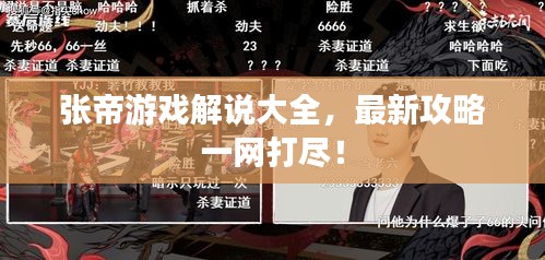 張帝游戲解說大全，最新攻略一網(wǎng)打盡！