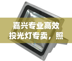 嘉興專業(yè)高效投光燈專賣，照明解決方案領(lǐng)航者