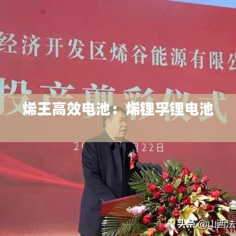 權(quán)貴顯要 第2頁