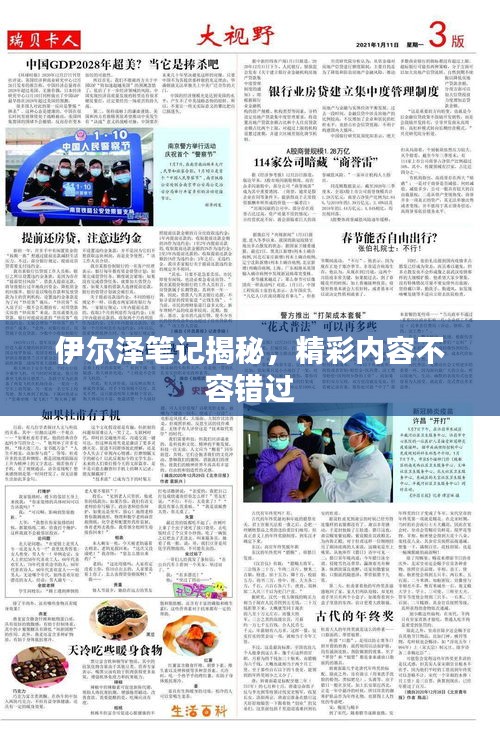 伊爾澤筆記揭秘，精彩內(nèi)容不容錯(cuò)過(guò)
