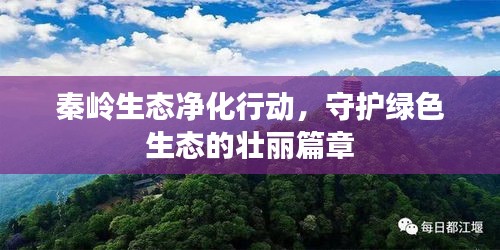 秦嶺生態凈化行動，守護綠色生態的壯麗篇章