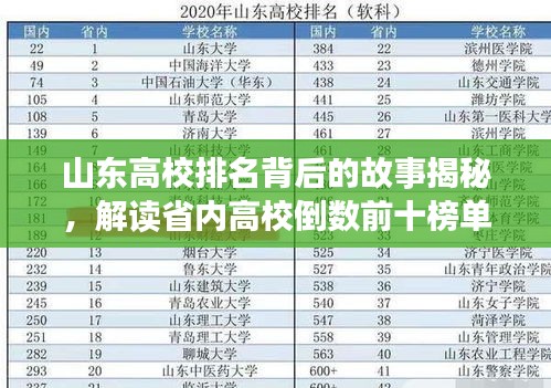 山東高校排名背后的故事揭秘，解讀省內(nèi)高校倒數(shù)前十榜單
