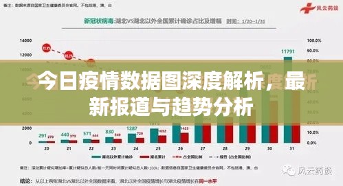 今日疫情數據圖深度解析，最新報道與趨勢分析