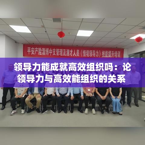 領(lǐng)導(dǎo)力能成就高效組織嗎：論領(lǐng)導(dǎo)力與高效能組織的關(guān)系 