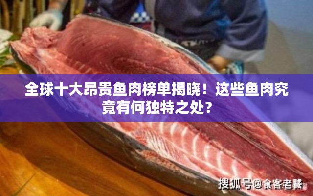 全球十大昂貴魚肉榜單揭曉！這些魚肉究竟有何獨特之處？