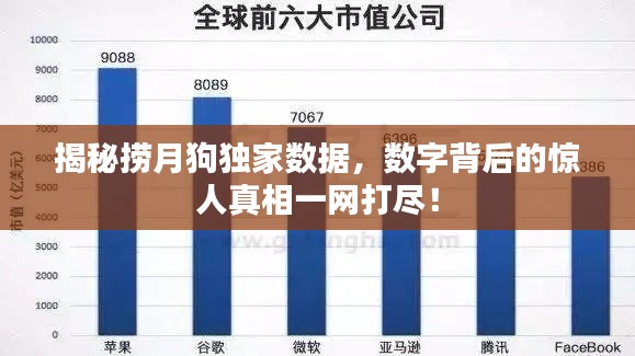 揭秘?fù)圃鹿藩?dú)家數(shù)據(jù)，數(shù)字背后的驚人真相一網(wǎng)打盡！