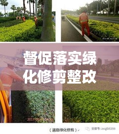 督促落實(shí)綠化修剪整改：關(guān)于綠化修剪的通知 