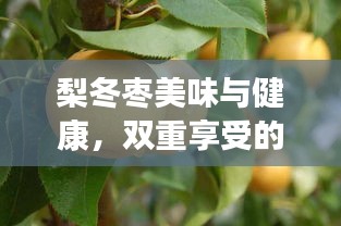 觀往知來 第2頁
