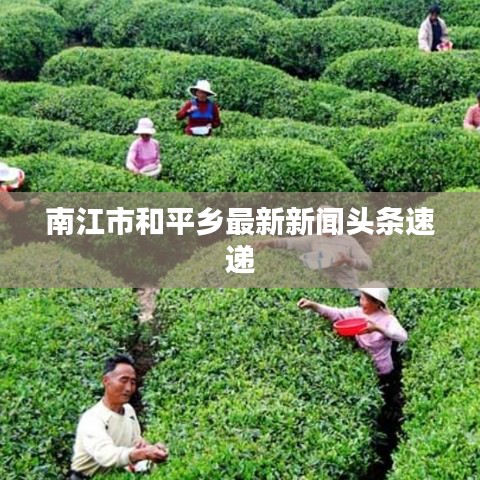 南江市和平鄉(xiāng)最新新聞頭條速遞