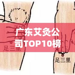 廣東艾灸公司TOP10榜單揭曉，權(quán)威排名，不容錯(cuò)過！