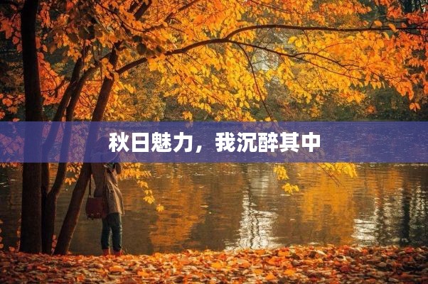 張皇鋪飾 第2頁