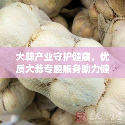 大蒜產(chǎn)業(yè)守護(hù)健康，優(yōu)質(zhì)大蒜專(zhuān)題服務(wù)助力健康之路