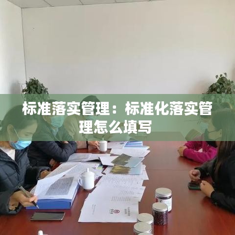 標(biāo)準(zhǔn)落實(shí)管理：標(biāo)準(zhǔn)化落實(shí)管理怎么填寫 
