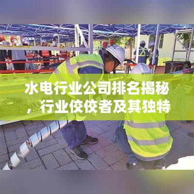 物稀為貴 第2頁