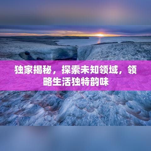 獨(dú)家揭秘，探索未知領(lǐng)域，領(lǐng)略生活獨(dú)特韻味