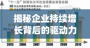 揭秘企業(yè)持續(xù)增長背后的驅(qū)動力，大業(yè)務(wù)持續(xù)拓展之路