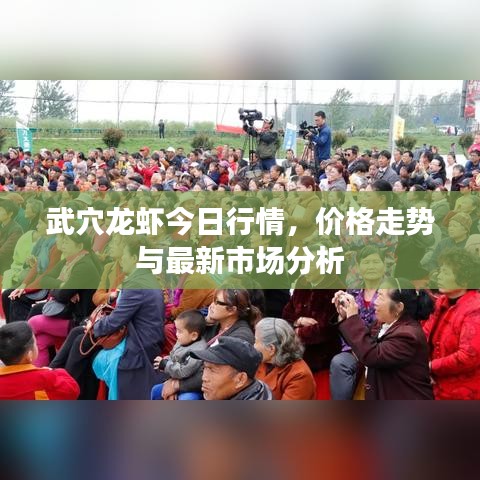 武穴龍蝦今日行情，價(jià)格走勢與最新市場分析