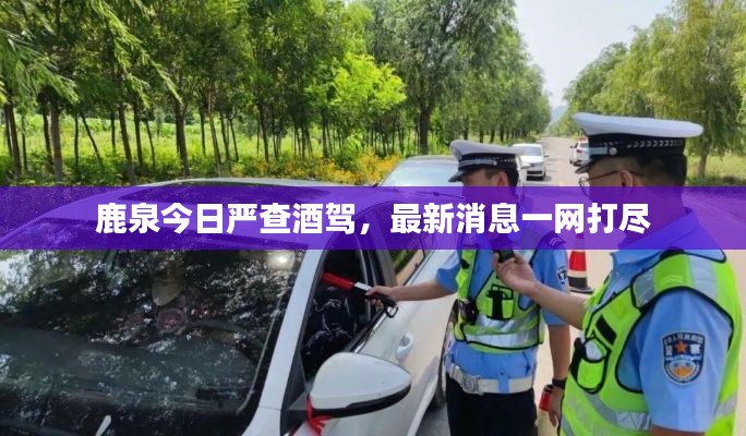 鹿泉今日嚴查酒駕，最新消息一網(wǎng)打盡