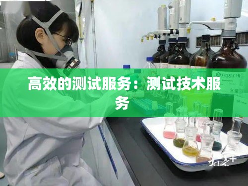 高效的測試服務：測試技術(shù)服務 