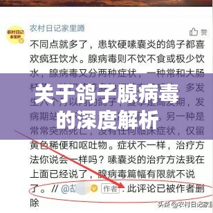 布被瓦器 第2頁
