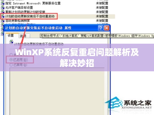 文質彬彬 第2頁