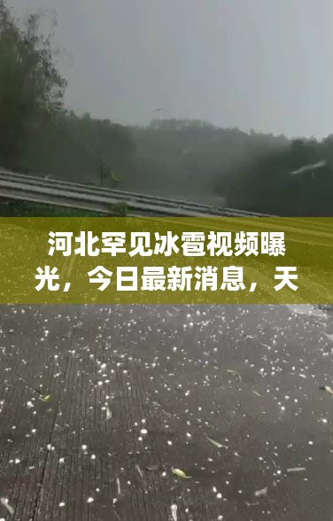 河北罕見冰雹視頻曝光，今日最新消息，天氣奇觀引發廣泛關注