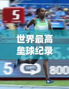 世界最高壘球紀(jì)錄榜單，刷新認(rèn)知的極限高度！