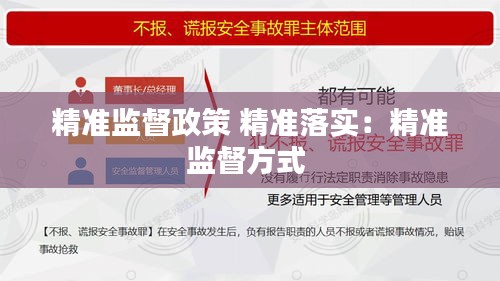 精準監督政策 精準落實：精準監督方式 