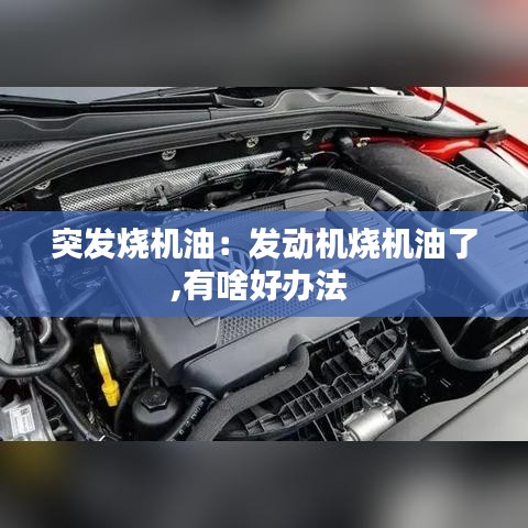 突發(fā)燒機油：發(fā)動機燒機油了,有啥好辦法 
