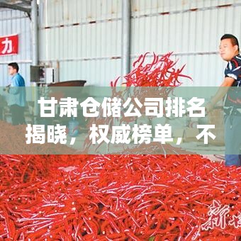 甘肅倉儲公司排名揭曉，權威榜單，不容錯過！