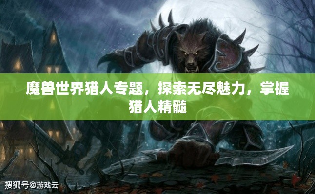 魔獸世界獵人專題，探索無盡魅力，掌握獵人精髓