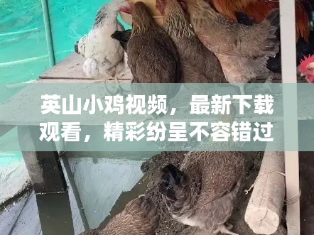 一毫不茍 第2頁