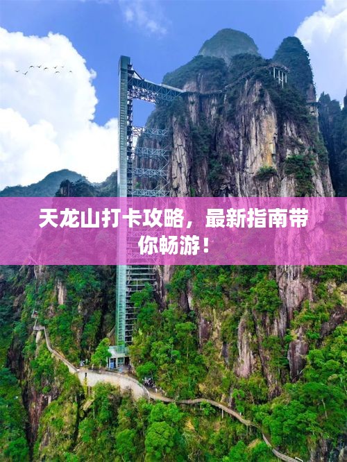 天龍山打卡攻略，最新指南帶你暢游！