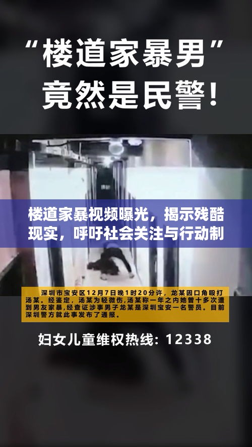 樓道家暴視頻曝光，揭示殘酷現(xiàn)實，呼吁社會關(guān)注與行動制止家暴
