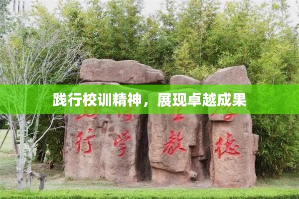 踐行校訓(xùn)精神，展現(xiàn)卓越成果