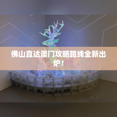 目不轉睛 第2頁